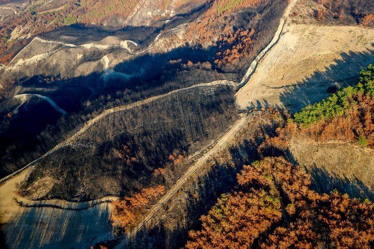 Yanan ormanlarda hüzünlü sonbahar G3