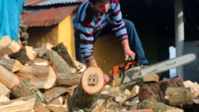 Kesilen odunda şaşkına çeviren figür! ''Yüce Allah'a şükürler olsun, bu odunu ömür boyu saklayacağız''