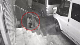 Yargıtay'dan köpeğe tecavüz eden sanık hakkında flaş karar