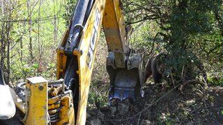 Bartın'da domuz kapanına yakalanan bozayı ekiplerce kurtarıldı