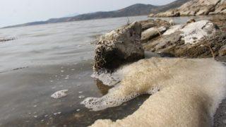Bafa Gölü’nde korkutan manzara! Sular çekilince istilacılar ortaya çıktı