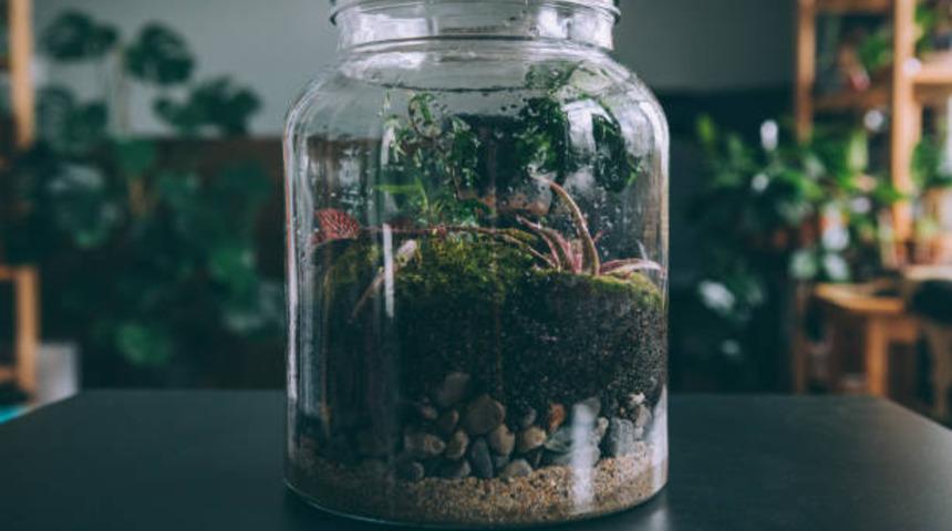 Bir kenara atmayın! Kullanmadığınız cam kavanozlar evinizin en şık dekoru olabilir