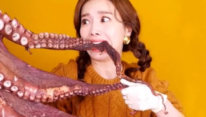 ASMR temalı videolarında canlı hayvan yiyen Güney Koreli YouTuber Sooyoung sosyal medyada olay yarattı