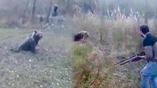 Kış uykusuna yatmayan bozayı için harekete geçtiler