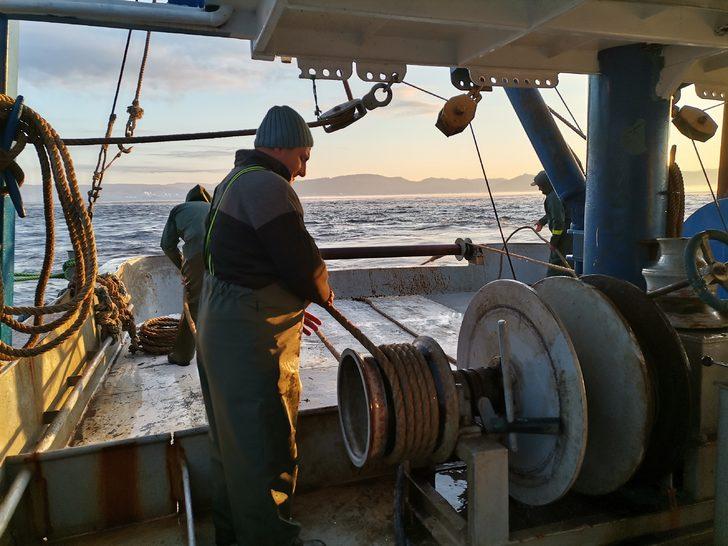 21 günlük deniz araştırması sonuçlandı! Marmara, Ege ve Karadeniz'de korkutan sonuç G1
