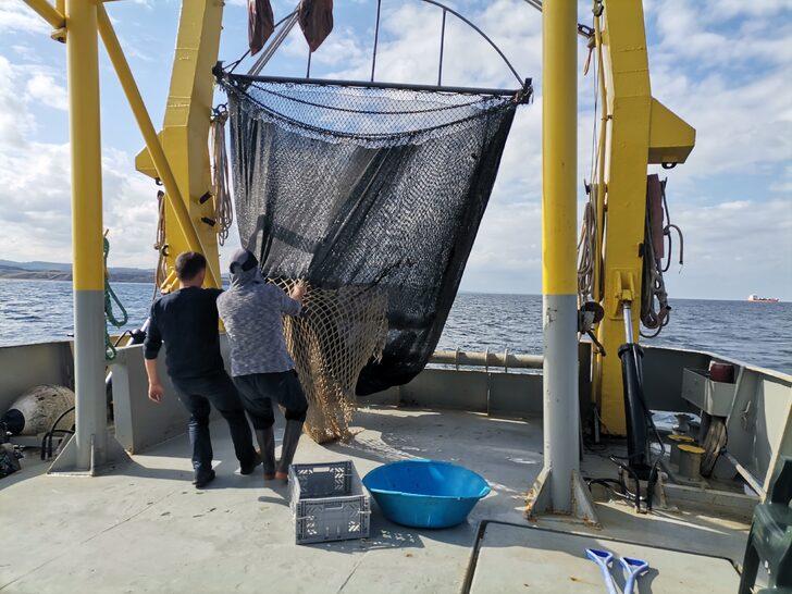 21 günlük deniz araştırması sonuçlandı! Marmara, Ege ve Karadeniz'de korkutan sonuç G2