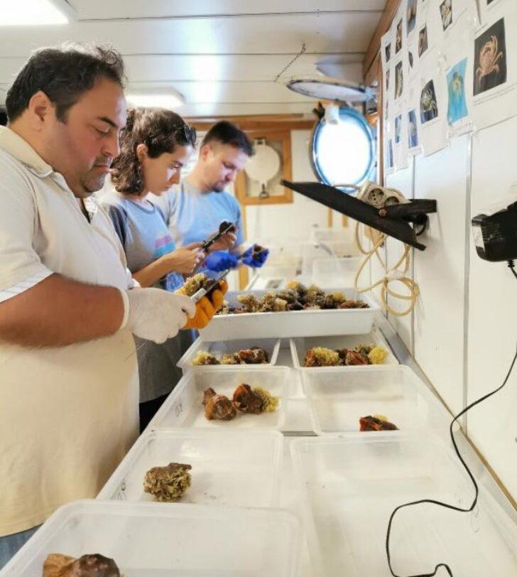21 günlük deniz araştırması sonuçlandı! Marmara, Ege ve Karadeniz'de korkutan sonuç G4