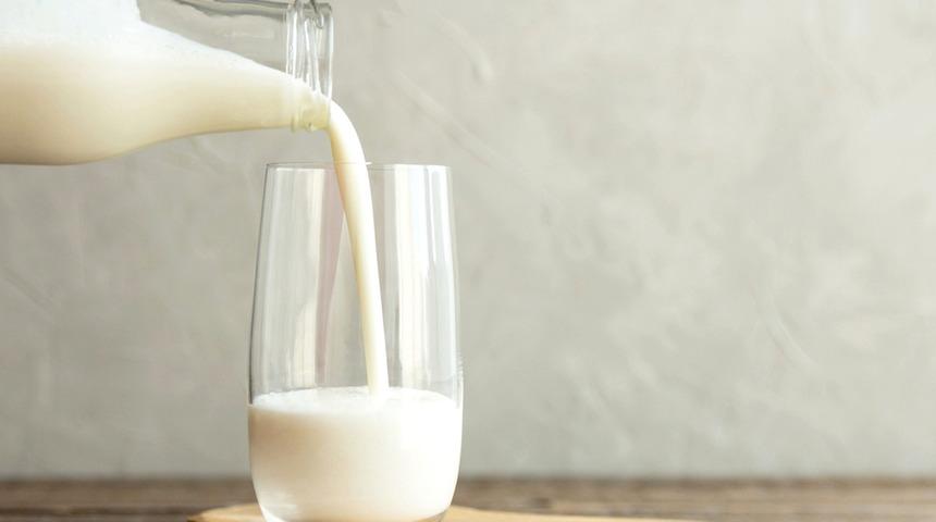 Yapay etten sonra şimdi de ineksiz inek sütü üretildi! 2023'te satışa sunulacak