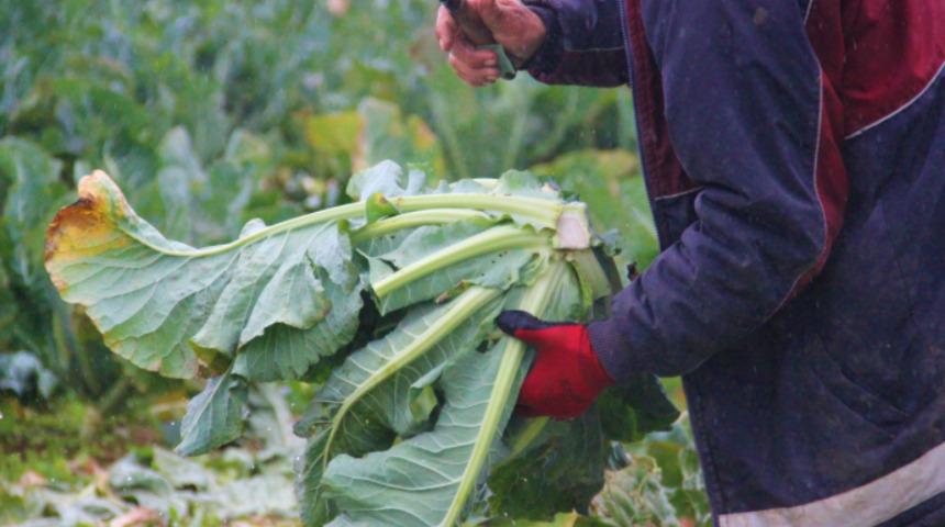 Dairelerini satıp bütün paralarını buna yatırdılar: Yağmur, çamur demiyoruz