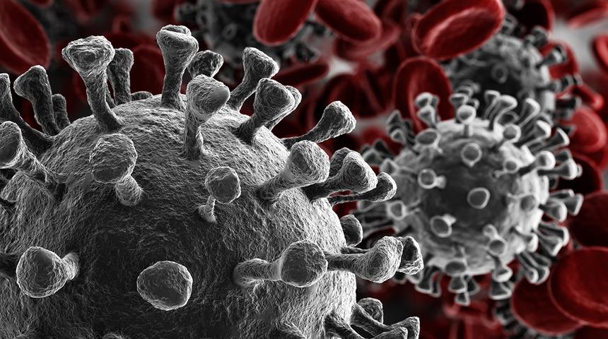 Doç. Dr. Ümit Savaşçı'dan kuş gribi uyarısı: Koronavirüsten daha bulaşıcı ve öldürücü