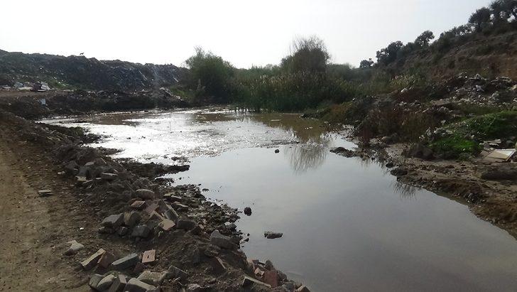 Zeytinyağın atık maddesinden, dünyanın en değerli etken maddesini ürettiler G2