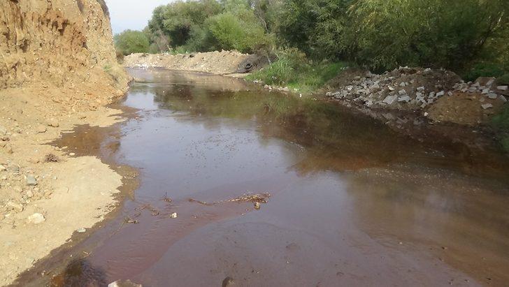 Zeytinyağın atık maddesinden, dünyanın en değerli etken maddesini ürettiler G3