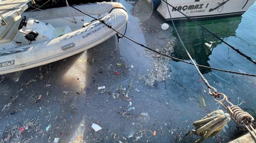 Arnavutköy sahiline inen şoke oluyor! Yüzey atık ve denizanalarıyla kaplandı