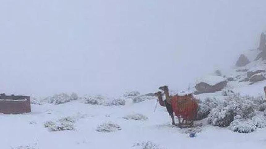Suudi Arabistan'da şaşırtan görüntü! Her yer beyaza büründü