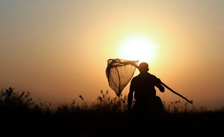 Türkiye'de yakalayıp Avrupa'ya ihraç ediyorlar! Günlük kazanç 900 lira G1