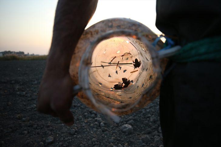 Türkiye'de yakalayıp Avrupa'ya ihraç ediyorlar! Günlük kazanç 900 lira G4