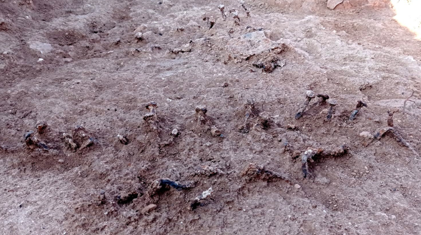 Roma döneminden kalma kapı çivileri bulundu! Tam 1.500 yıllık çiviler ortaya çıktı