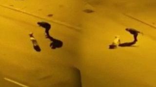 Kahreden olay! Sokak ortasında köpeği tasmasıyla darbetti