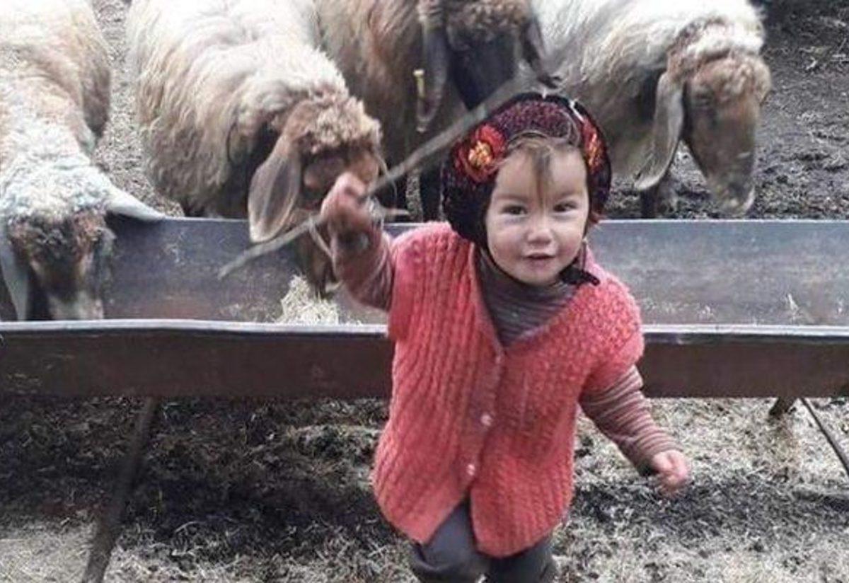 muslume nin dedesi hasan yagal kimdir kac yasinda ve nereli muslume yi dedesi mi oldurdu gundem haberleri
