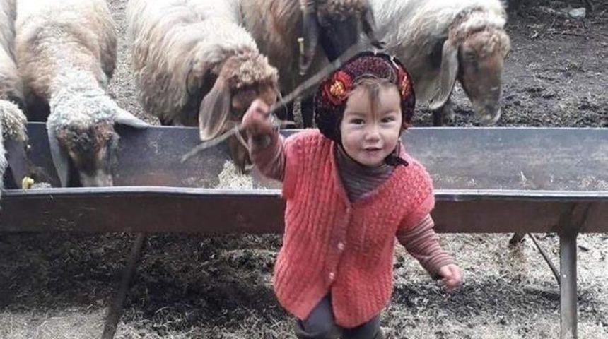 Müslüme'nin dedesi Hasan Yağal kimdir, kaç yaşında ve nereli? Müslüme'yi dedesi mi öldürdü?