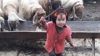 Müslüme'nin dedesi Hasan Yağal kimdir, kaç yaşında ve nereli? Müslüme'yi dedesi mi öldürdü?