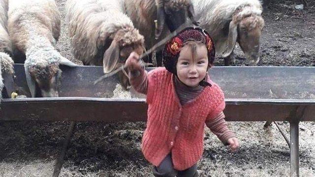 Müslüme'nin dedesi Hasan Yağal kimdir, kaç yaşında ve nereli? Müslüme'yi dedesi mi öldürdü?