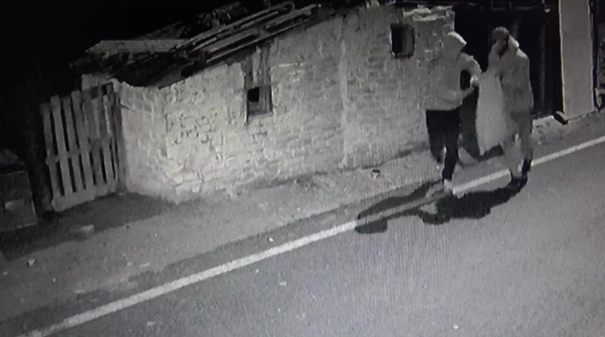 Tavukları çuvala doldurup çaldılar! Yalnız kalan horozların psikolojisi bozuldu