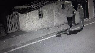 Tavukları çuvala doldurup çaldılar! Yalnız kalan horozların psikolojisi bozuldu