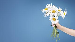 Öğretmenler Günü hediye fikirleri! Erkek ve kadın öğretmene alınacak Öğretmenler Günü hediyeleri