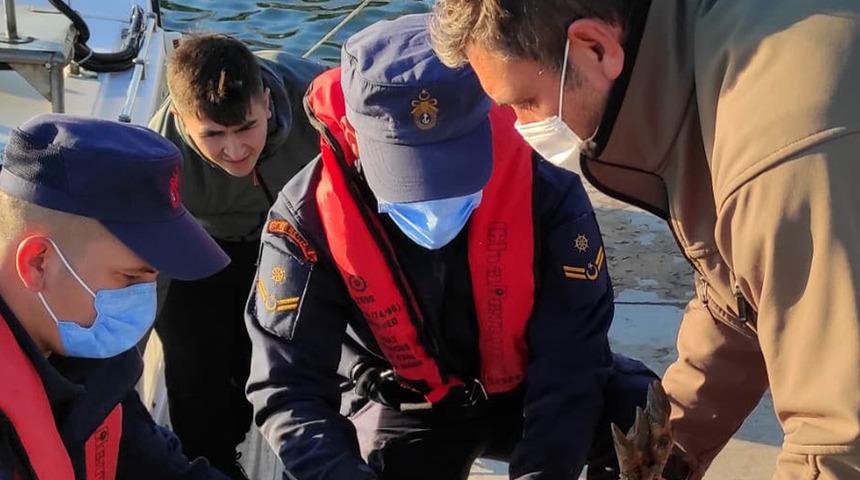 Fark edince seferber oldular! Denizden bakın ne çıktı