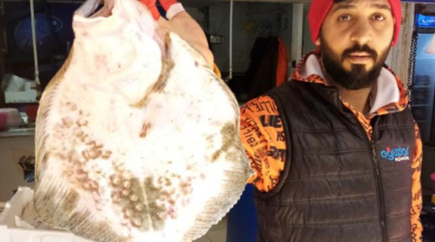 Balıkçıların ağına takıldı 900 liraya satışa çıktı