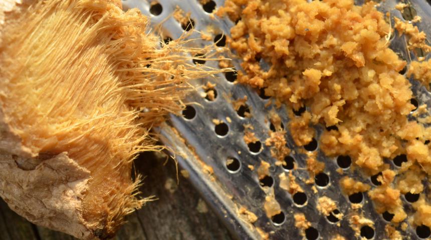 Ödem atıyor ve yağ yakımına yardımcı oluyor! Zencefille zayıflama yöntemleri