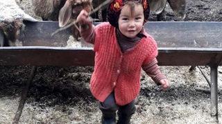 Adli Tıp Uzmanı: Müslüme'nin 11 derecede dağda tek yaşaması olası değil