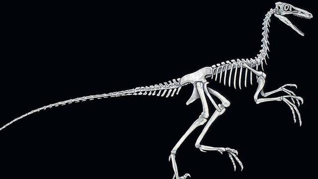 Troodon gibi küçük etoburların bir hayli zeki olduğu düşünülüyor.