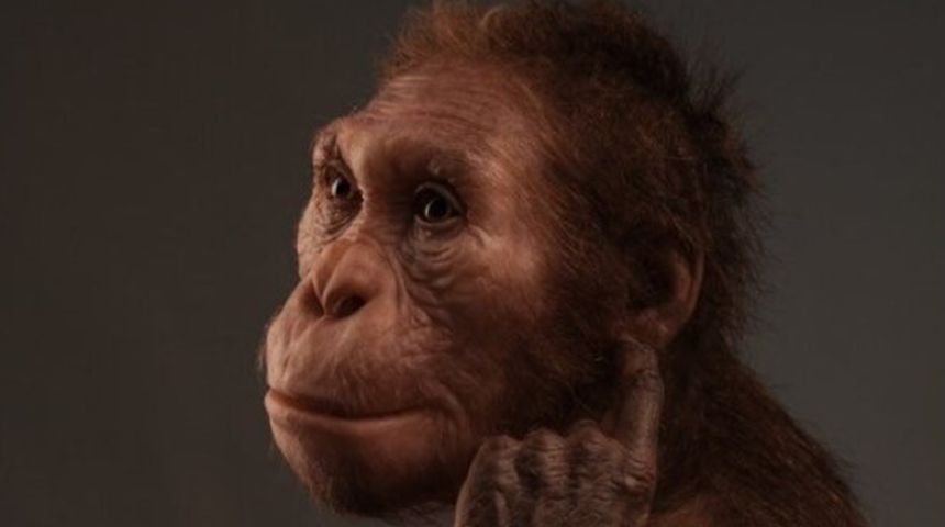 İnsanlığın ilk atalarına dair keşif! Milyonlarca yıl önce yaşıyorlardı: Maymun gibi tırmanıyorlar ve insan gibi yürüyorlardı