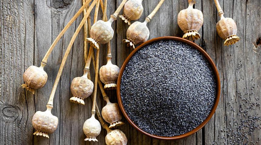 Afyon'dan evde bulunan malzemelerle kolayca hazırlayabileceğiniz ilginç bir tarif: Düğülü haşhaş tatlısı