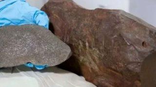 Yıllardır rafında sakladığı taşın paha biçilemez olduğunu öğrendi! Değersiz zannetmişti, göktaşı çıktı