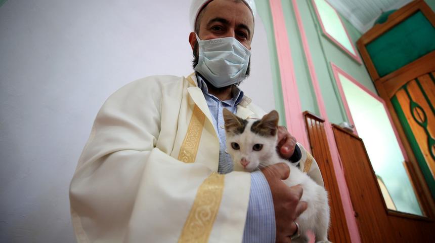Hayvansever imam caminin kapılarını kedilere açtı