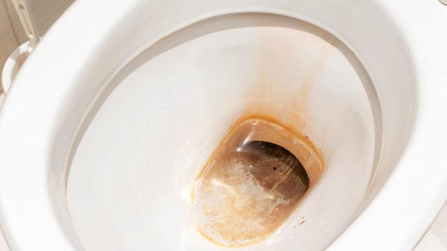 Klozette zamanla oluşan sarı lekeleri, kireç ve tortuları söküp atan temizlik tüyoları