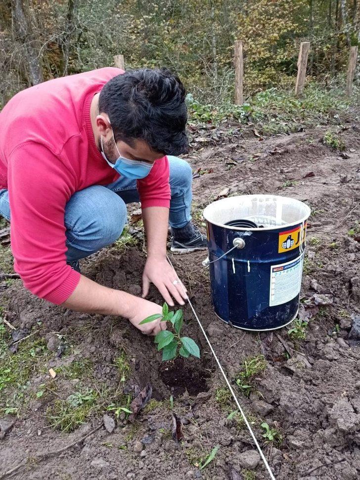 40 yıl sonra Avrupa'dan memleketine döndü, ilk iş olarak aronya bahçesi kurdu! Faydaları saymakla bitmiyor G2