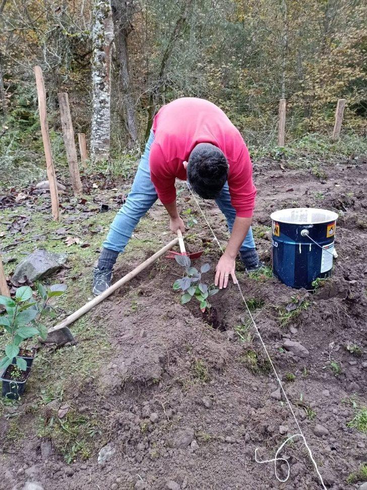 40 yıl sonra Avrupa'dan memleketine döndü, ilk iş olarak aronya bahçesi kurdu! Faydaları saymakla bitmiyor G3