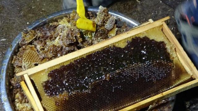 Şifa kaynağı bala yoğun talep: 1 kilo isteyene yarım kilo gönderiliyor