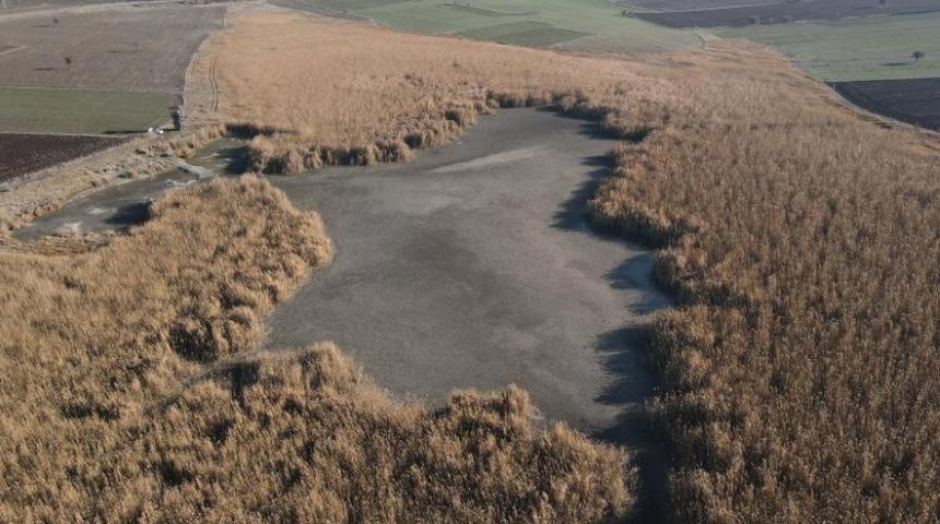 Türkiye'nin sayılı kuş cennetlerinden biriydi, bataklığa döndü: Ne kuş kaldı, ne balık