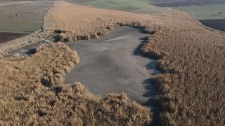 Türkiye'nin sayılı kuş cennetlerinden biriydi, bataklığa döndü: Ne kuş kaldı, ne balık