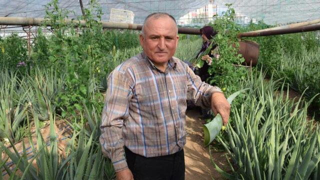 Sebzeden para kazanamadı, seranın tamamına onu dikti! ''Hiçbir masrafı yok, yıllık kazancı 90 bin TL''