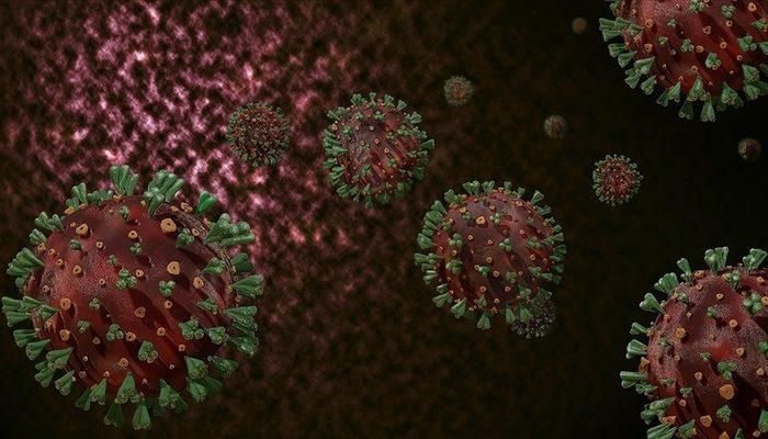 DSÖ'den yeni koronavirüs varyantı için özel toplantı