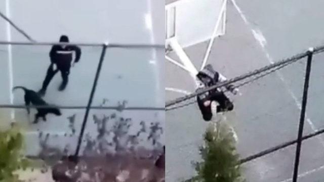 Pitbull cinsi köpeğiyle arkadaşına dehşeti yaşattı: Korkudan potaya çıktı