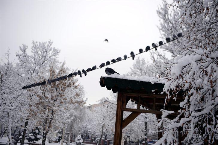 GÜNCELLEME - Erzurum, Kars, Ardahan ve Ağrı'da kar yağışı etkili oldu G2