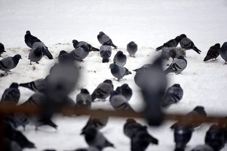 GÜNCELLEME - Erzurum, Kars, Ardahan ve Ağrı'da kar yağışı etkili oldu G4