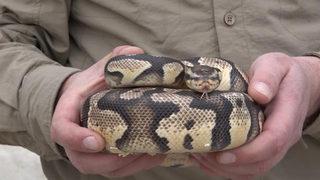 Yer: Kırıkkale! Gencin, TikTok paylaşımı pahalıya mâl oldu